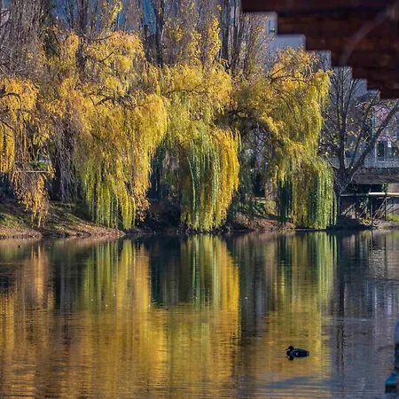 Wow U Centru Trebinja * טרביניה