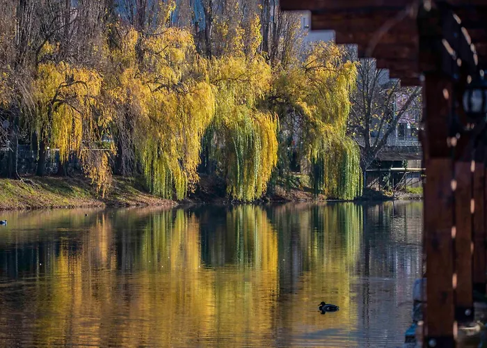 Wow U Centru Trebinja * Trebinje